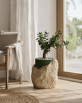Klippe – Plantepotte med indsats