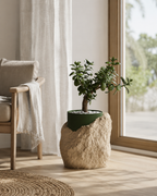 Klippe – Plantepotte med indsats