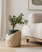 Klippe – Plantepotte med indsats