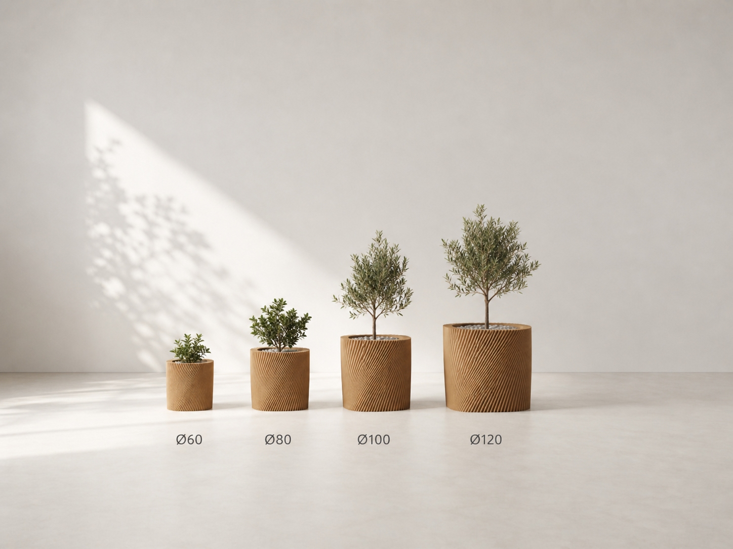 Corda – Plantepotte