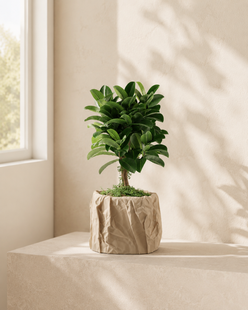 "Crinkle" - Crinkled paper plant pot