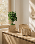"Crinkle" - Crinkled paper plant pot