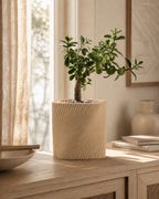 Corda plantepotte i Desert Tan