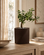 Corda plantepotte i Walnut Wood
