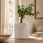 Corda plantepotte i prikket White Marble PLA