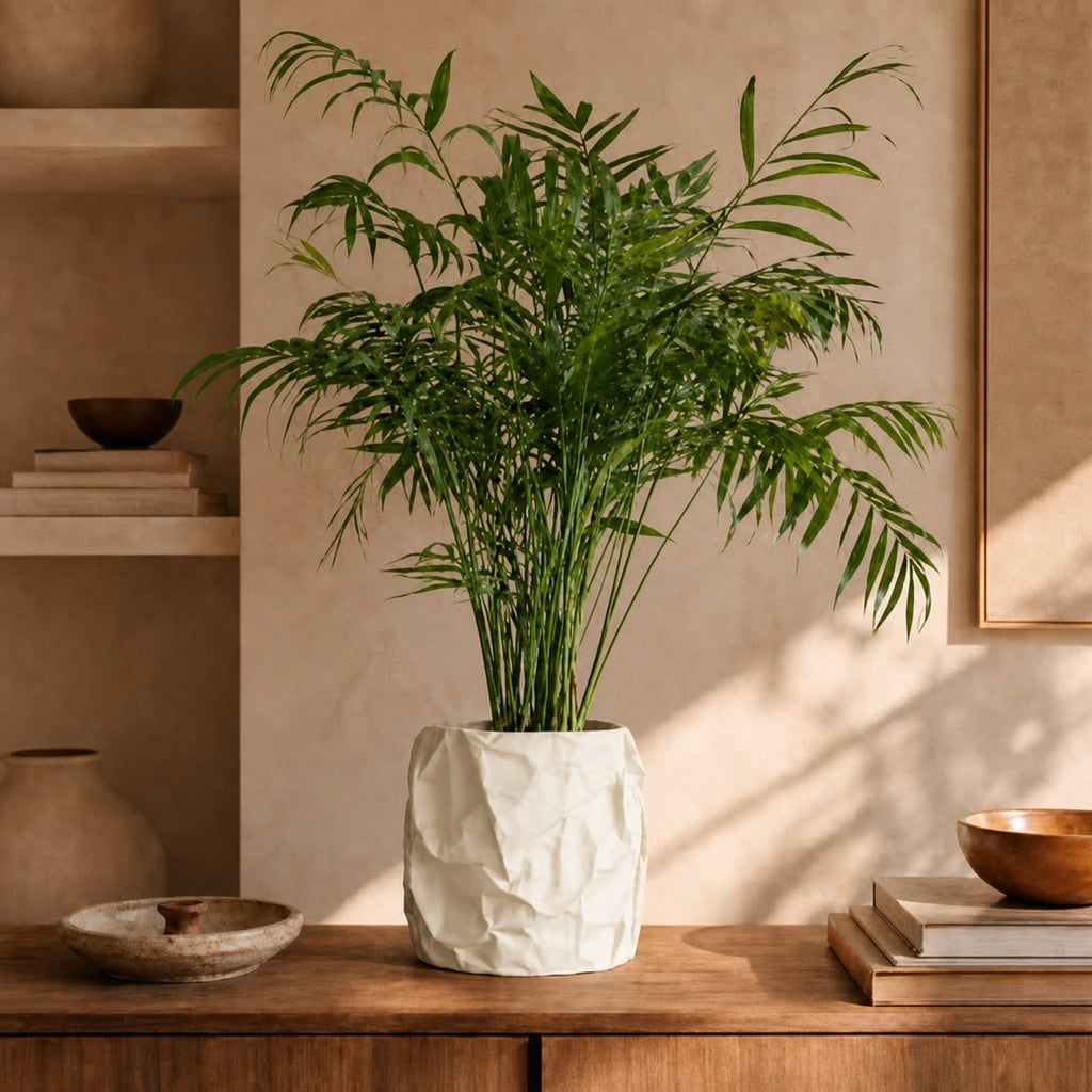 KrÃ¸lle plantepotte i Ivory white