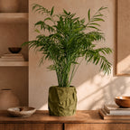 KrÃ¸lle plantepotte i Olive Green