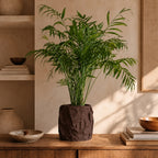 KrÃ¸lle plantepotte i Walnut Wood