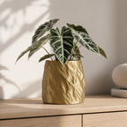 Mura – skulpturel plantepotte