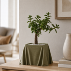 Silka - Draperet Plantepotte - Olive Green