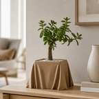 Silka - Draperet Plantepotte - Wood