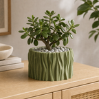 Stubbe boelget plantepotte i Olive Green med lille plante