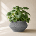 Vaeva vaevet plantepotte i Ash Grey
