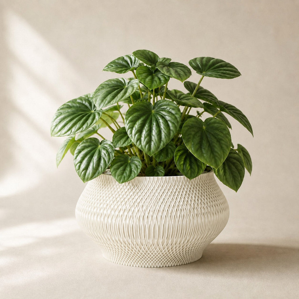 Vaeva vaevet plantepotte i Ivory white