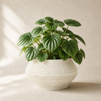 Vaeva vaevet plantepotte i Ivory white