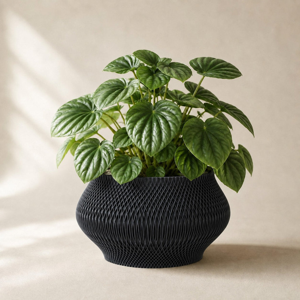 Vaeva vaevet plantepotte i Midnight Black