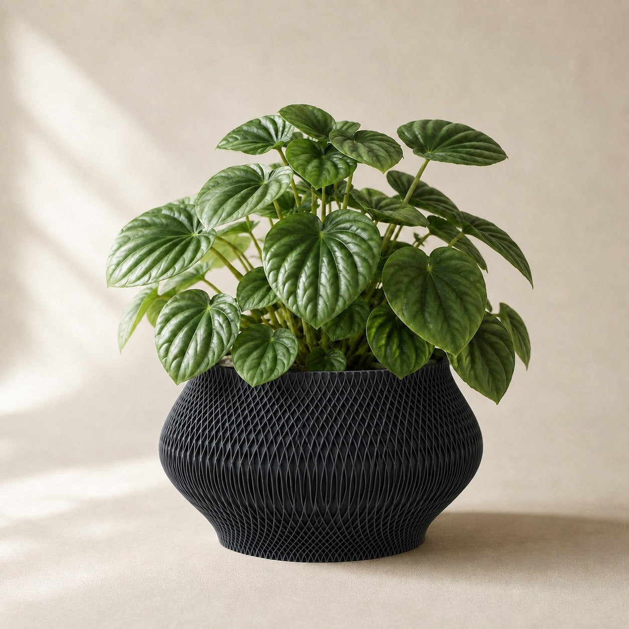 Vaeva vaevet plantepotte i Midnight Black
