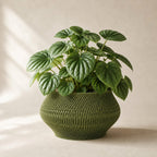 Vaeva vaevet plantepotte i Olive Green