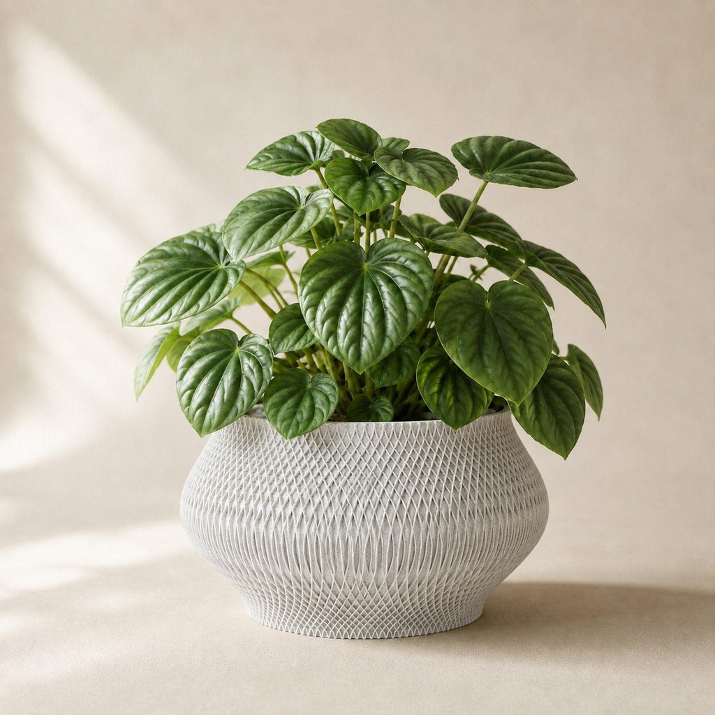 Vaeva vaevet plantepotte i White Marble