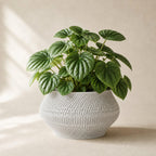 Vaeva vaevet plantepotte i White Marble