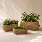 Vega – selvvandende plantepotte, farvevariant